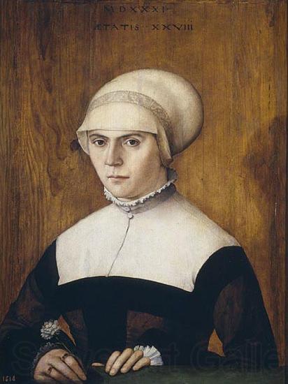 Christoph Amberger The wife of Jorg Zorer, at the age of 28 Norge oil painting art